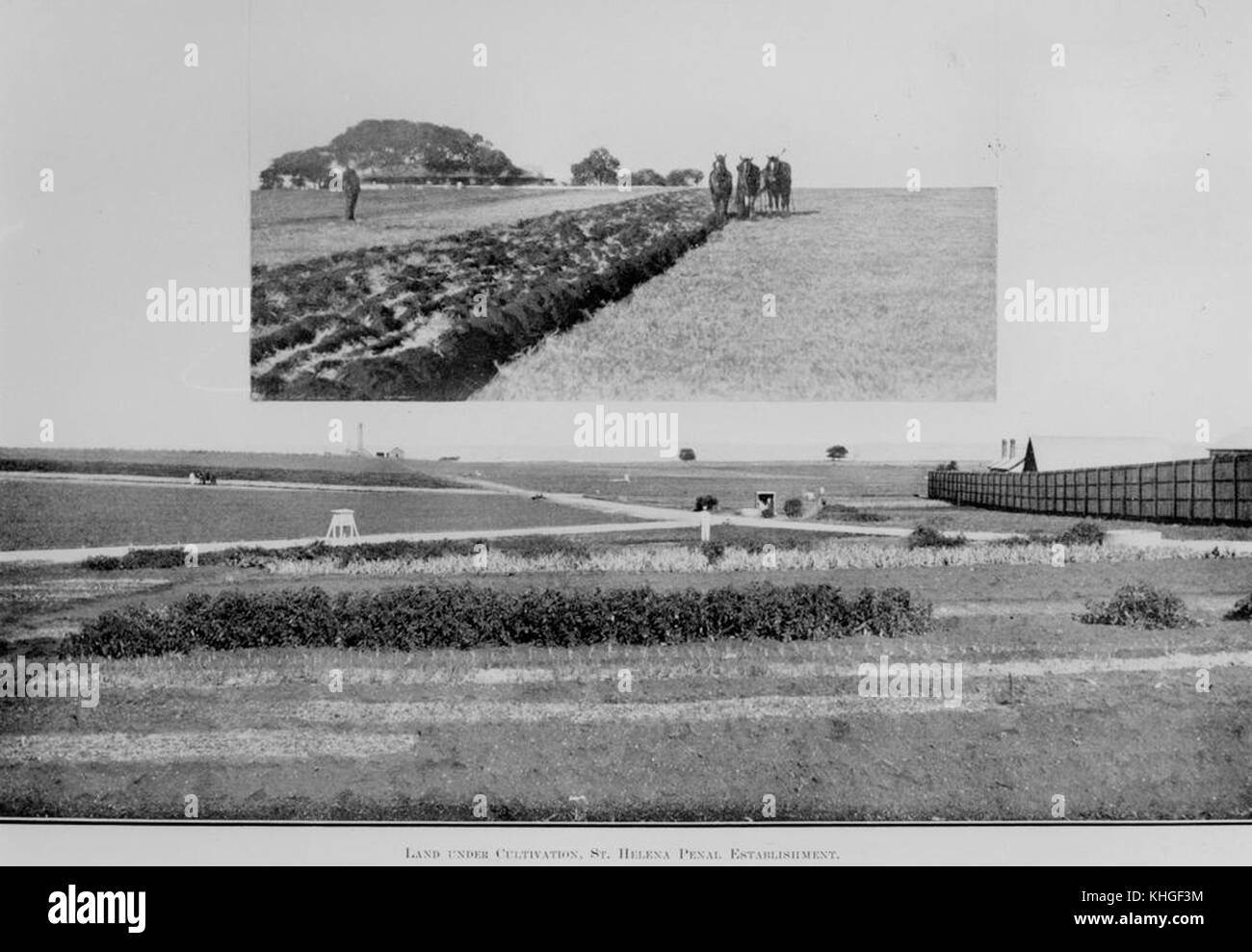 2 392513 Kulturland auf St. Helena Insel, 1914 Stockfoto