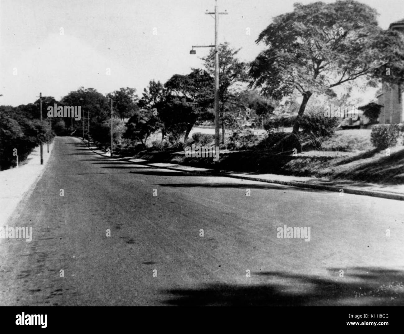 2 162655 von Bäumen gesäumten Gilchrist Avenue in Herston, Brisbane, 1946 Stockfoto