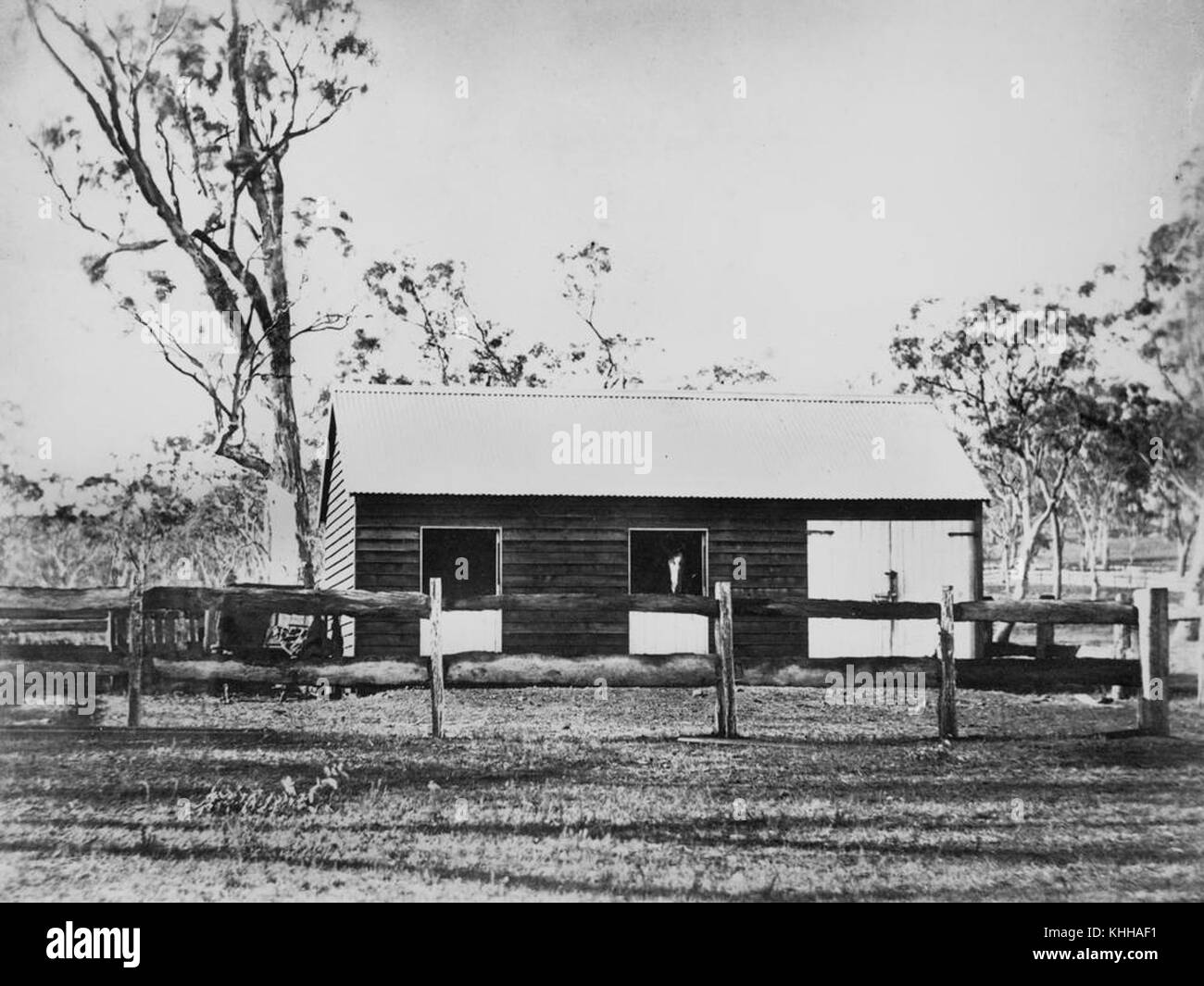 1 298167 Ställe an Yandilla Station, Queensland, Ca. 1875 Stockfoto