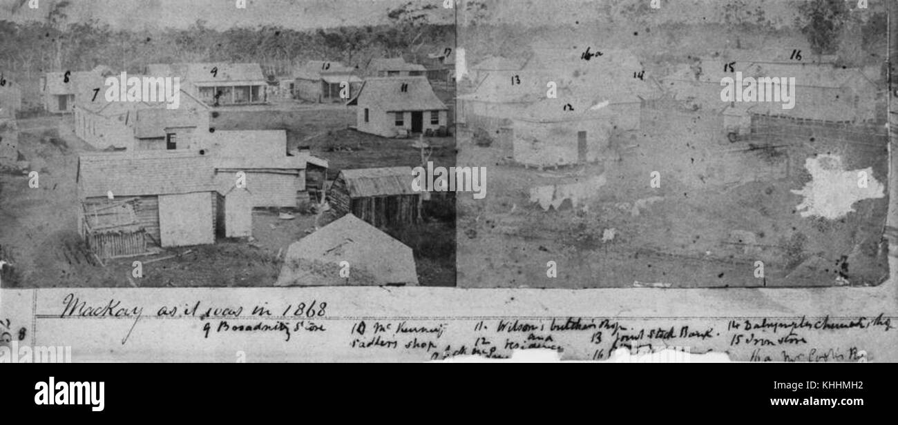 1 198087 Dekorationen in Newstead für den königlichen Besuch, März 1954 Stockfoto