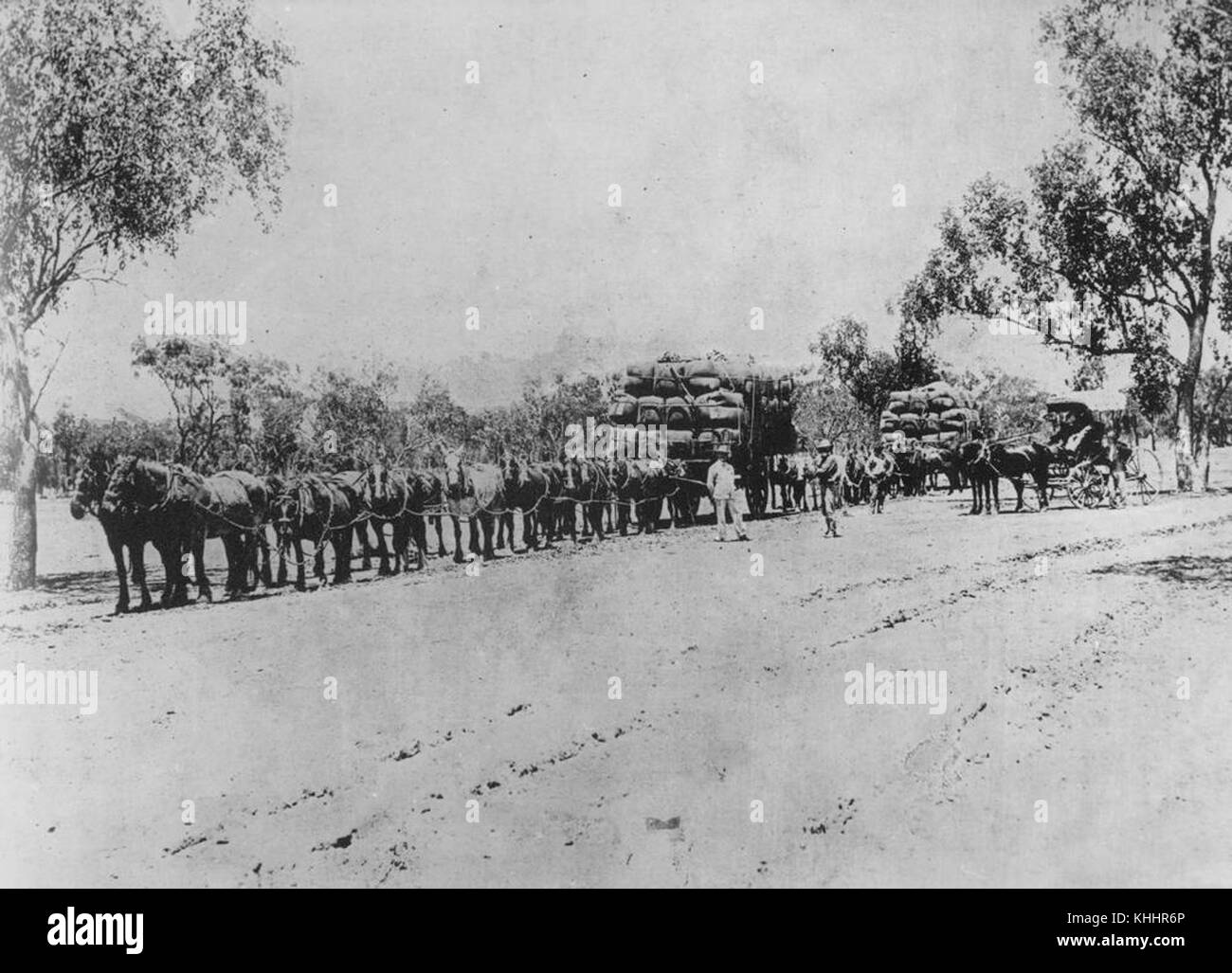 2 294727 Pferd Teams mit beladenen Wagen an Wyandra, 1901 Stockfoto