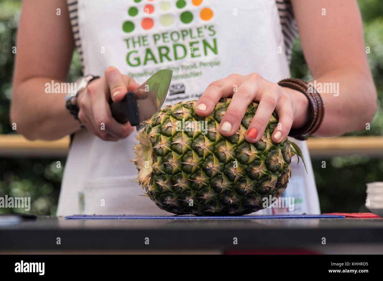 „VegU“-Programmkoordinatorin Laura Popielski bietet sichere Ananas-Schneide-Praktiken und Lagertipps an, und Kayla Johnson liefert am 9. Juni 2017 im „VegU(cation)“-Zelt des USDA Farmers Market in Washington, D.C., Anbauinformationen und Auswahltipps. Gemüsepädagogen oder „VegUcators“ führen kostenlose 10-minütige Obst- und Gemüsekurse durch. Ihre geplanten Demonstrationstermine sind die höchste Erntezeit, um diese Lebensmittel auf den Märkten zu suchen. Das Ziel ist es, Obst und Gemüse in den Mahlzeiten zu erhöhen und den Menschen zu helfen, zu verstehen, wha Stockfoto