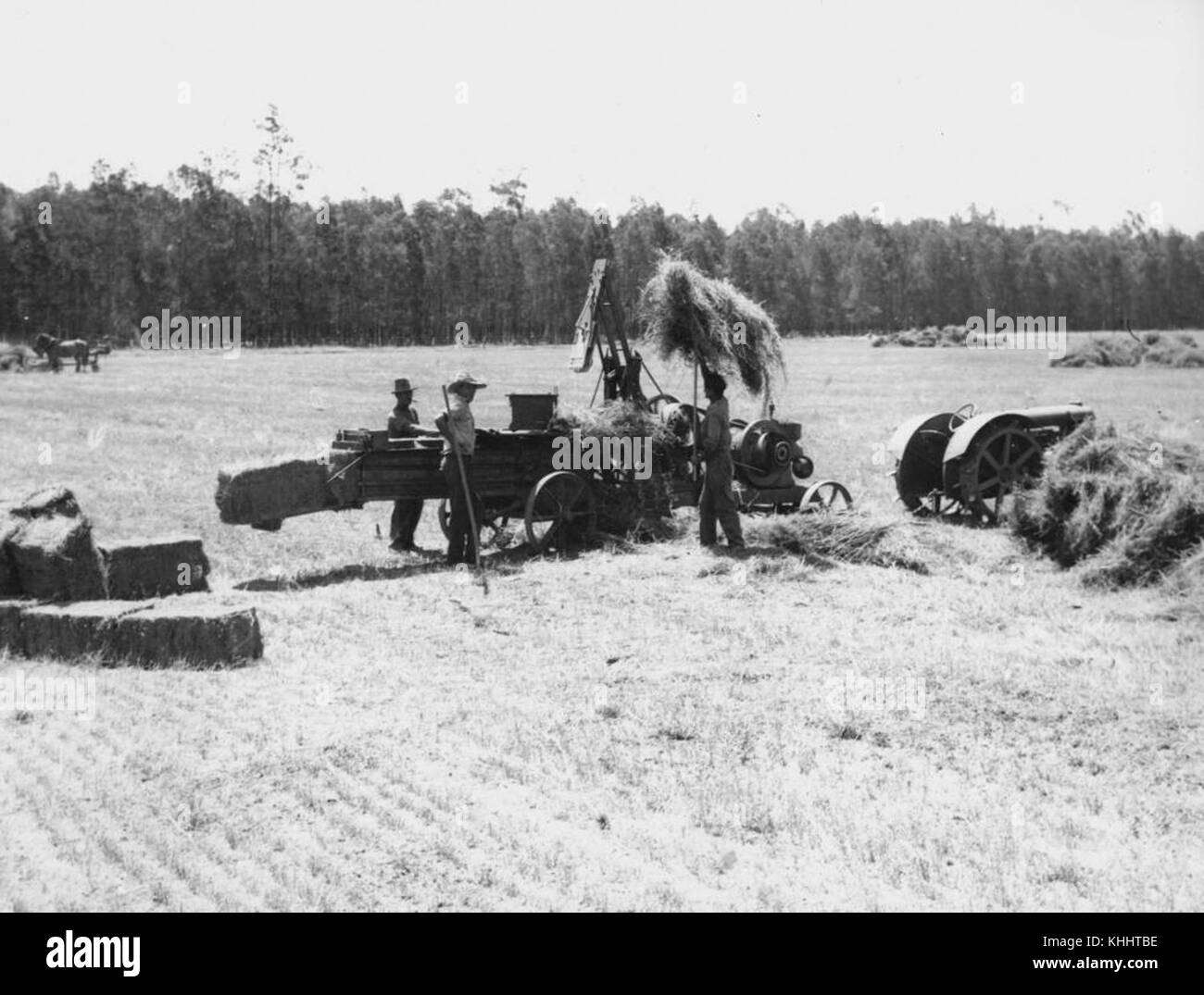 2 204084, Heu, das auf der Farm, 1930er Jahre Stockfoto