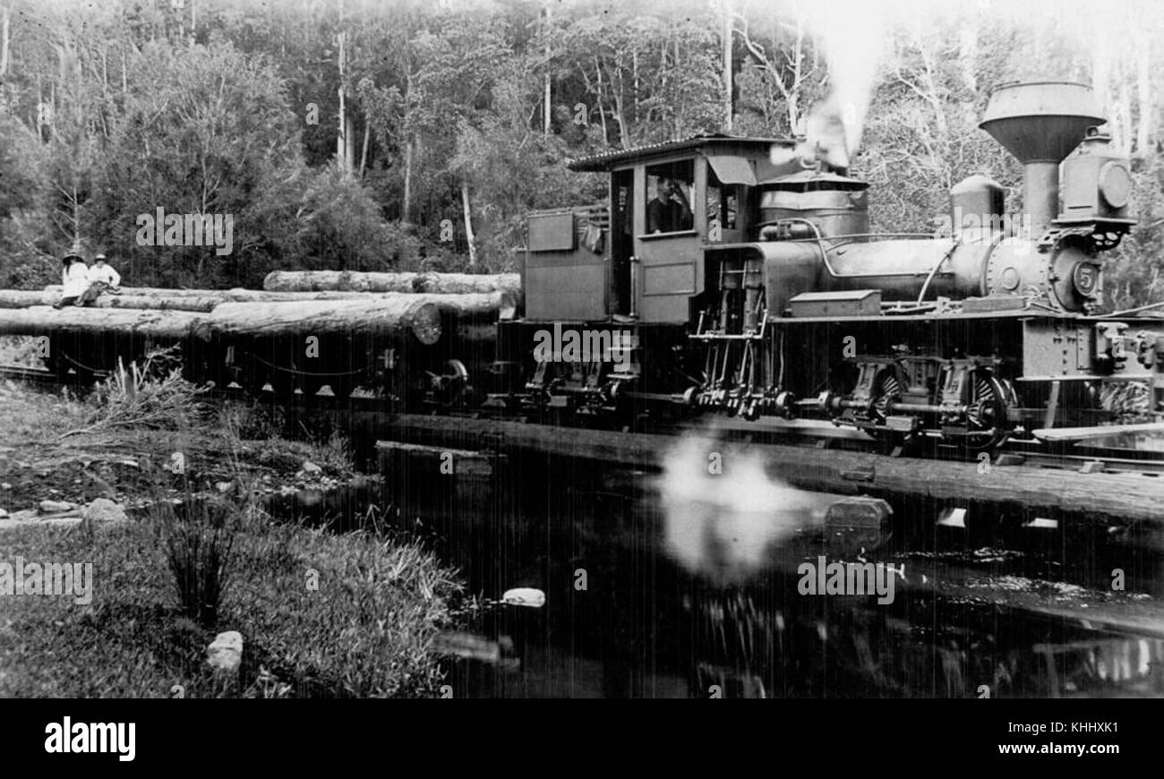 2 203572 Shay Lokomotive 5, Teil des Canungra Pine Creek Straßenbahn, Ca. 1914 Stockfoto