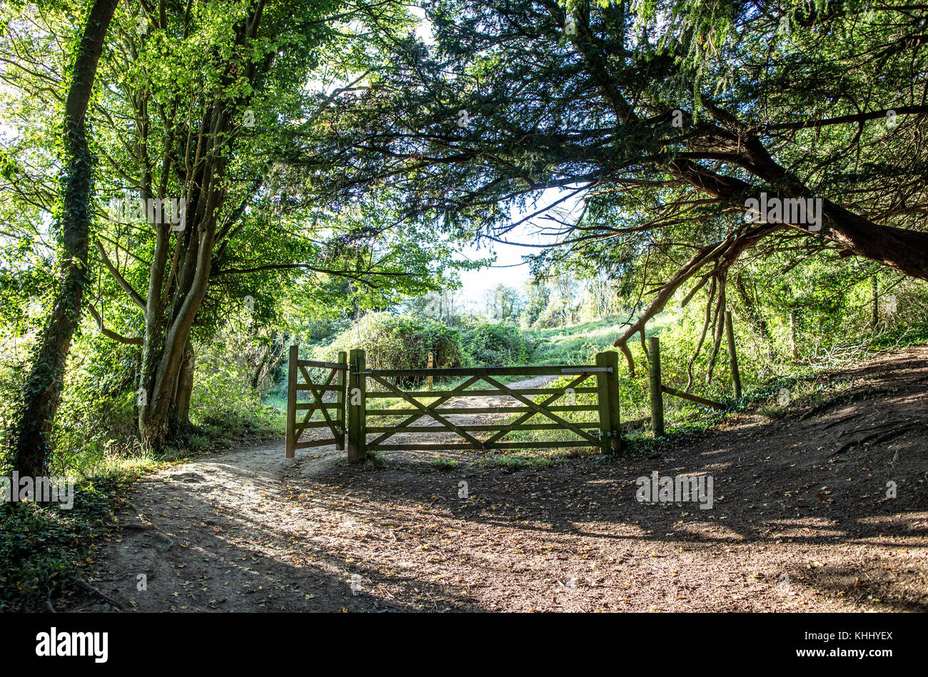 Pilgerweg BoxHill Surrey UK Stockfoto