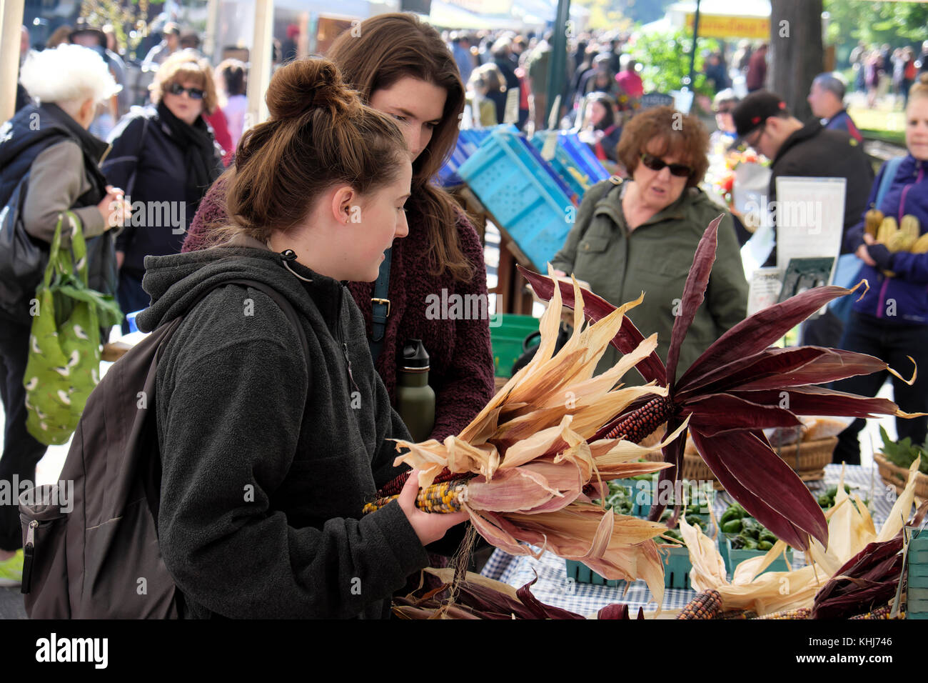 Junge Frauen kaufen North American Indian Zierpflanzen hybrid Maiskolben aus einem Stall im Herbst Bauernmarkt Portland Oregon, USA KATHY DEWITT Stockfoto