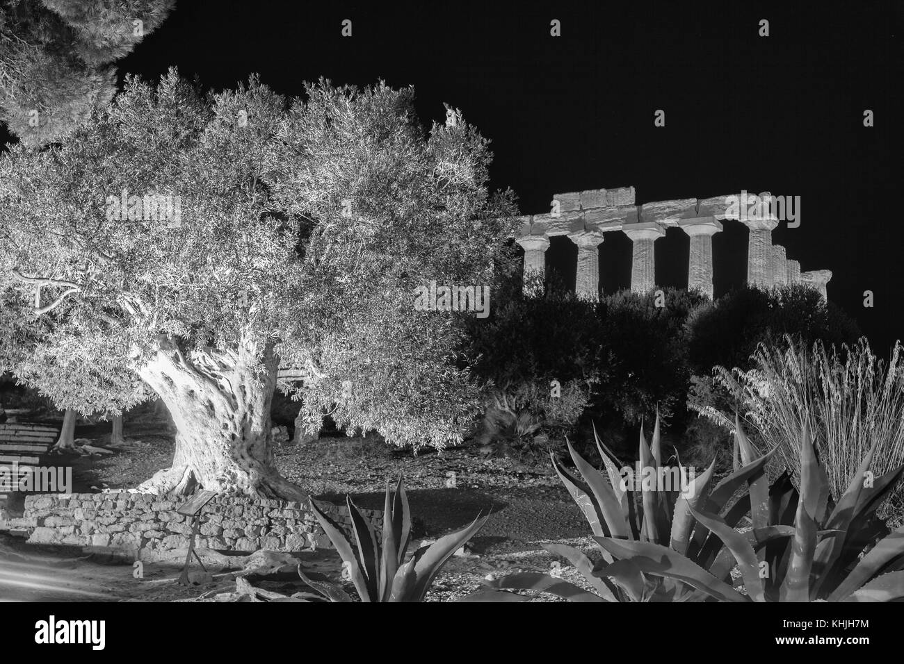 Juno Tempel in Agrigento archäologischer Park Stockfoto