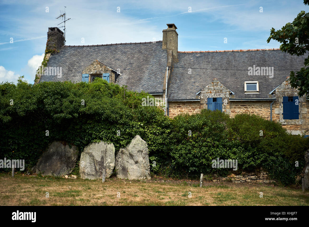 Stehende Steine auf der Ile aux Moines im Golfe du Morbihan Bretagne Frankreich. Stockfoto