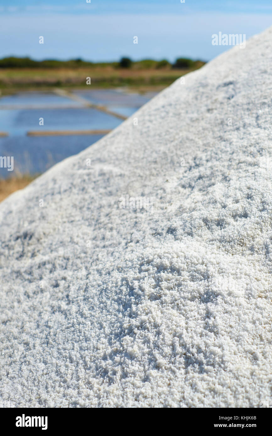 Die Salinen und Sümpfe, Fleur de Sel aus Guérande in der Nähe von Le Croisic in der Loire-Atlantique Bretagne Frankreich. Stockfoto