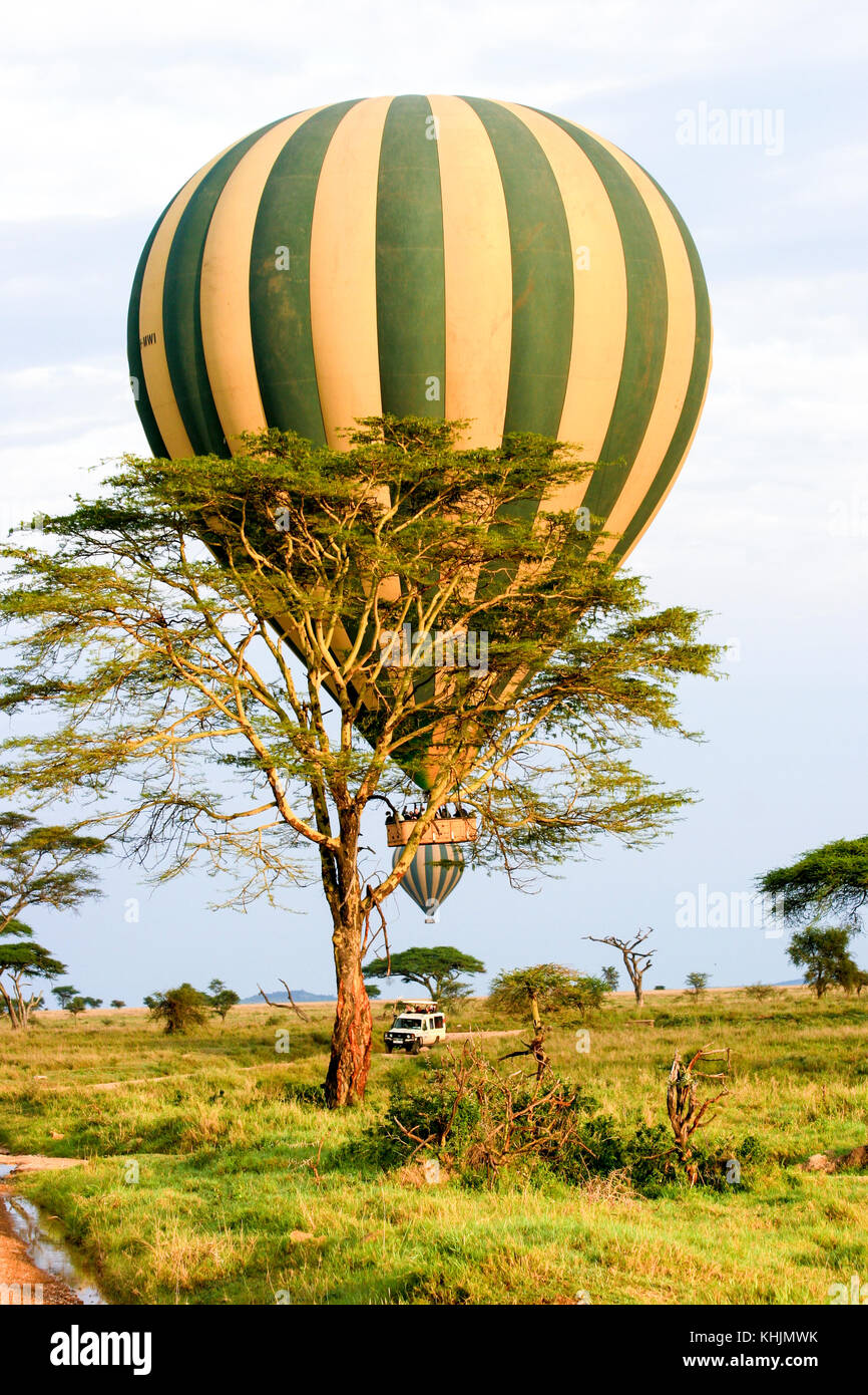 Hot Air Balloon Safari. In Serengrti Park fotografiert, Tansania Stockfoto