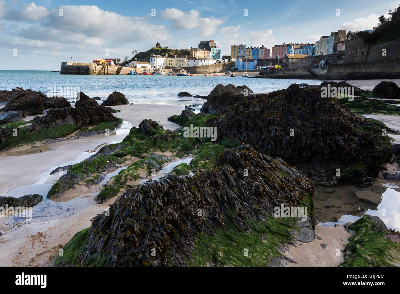 Pembrokeshire Küstenort Tenby, mit bunten Häuser über den Hafen Stockfoto