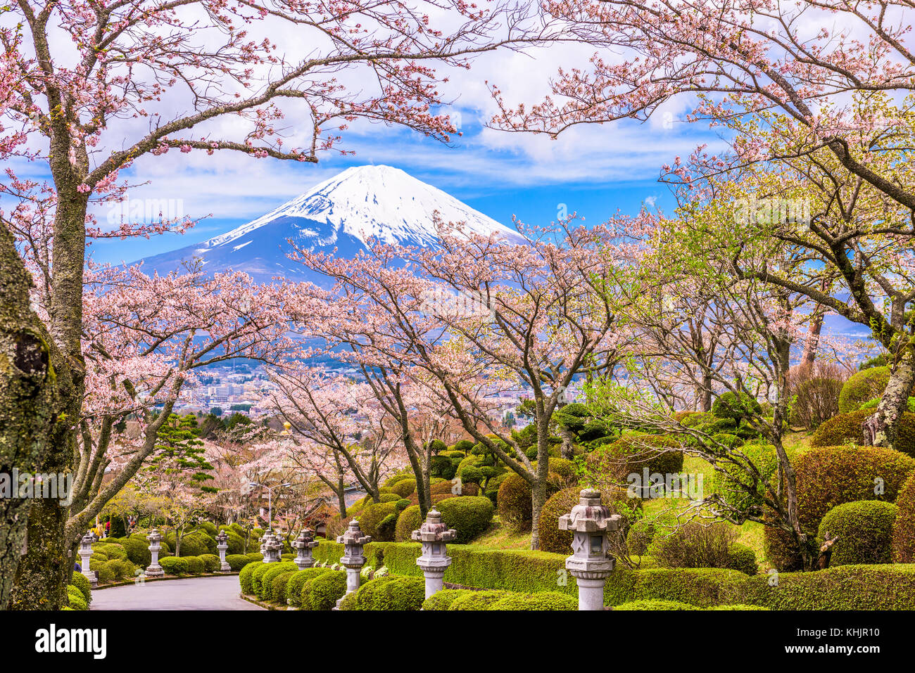 Gotemba STADT, Japan in Peace Park mit Mt. Fuji im Frühjahr Saison. Stockfoto