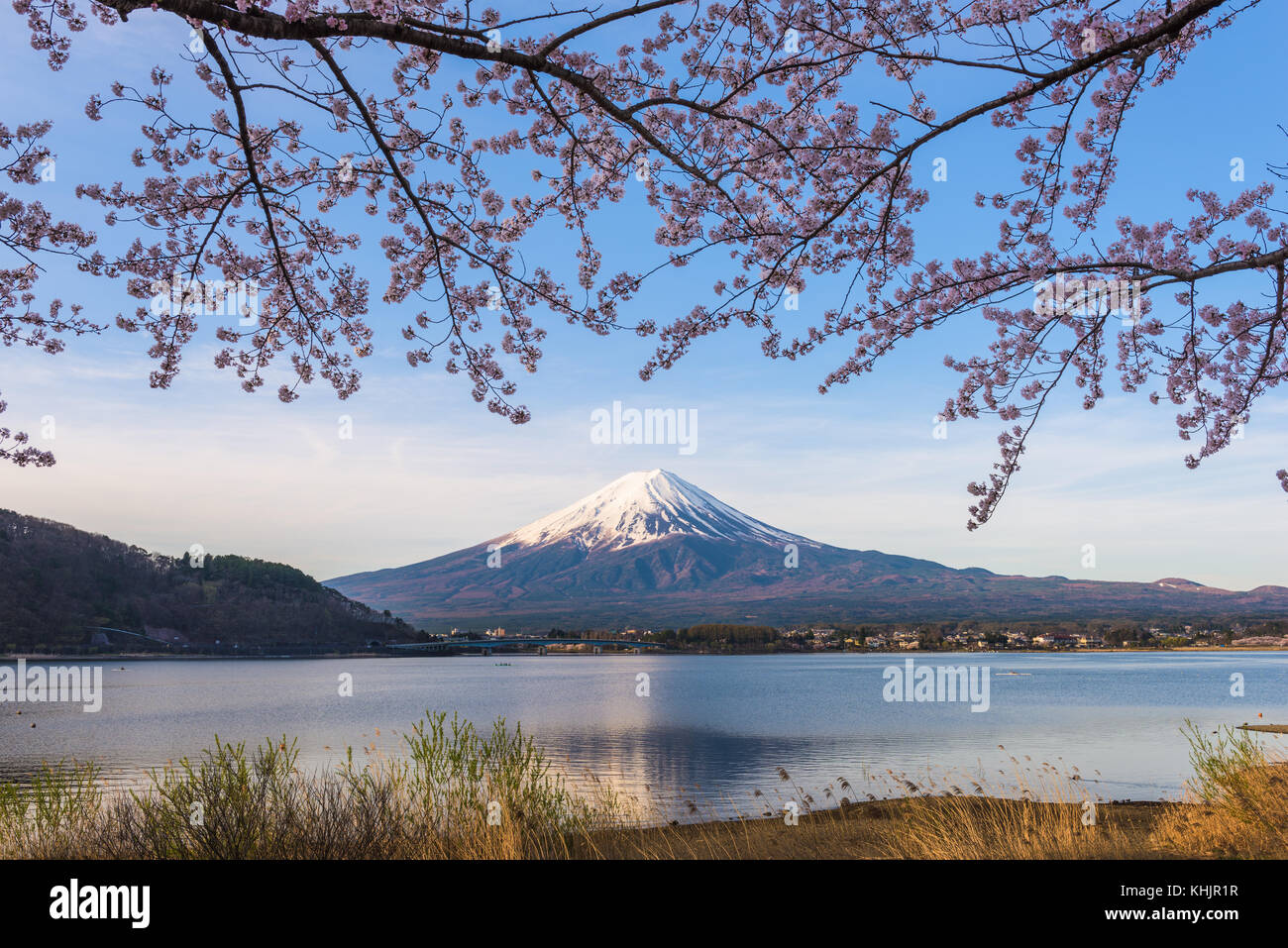 Mt. Fuji, Japan von Lake Kawaguchi im Frühjahr. Stockfoto