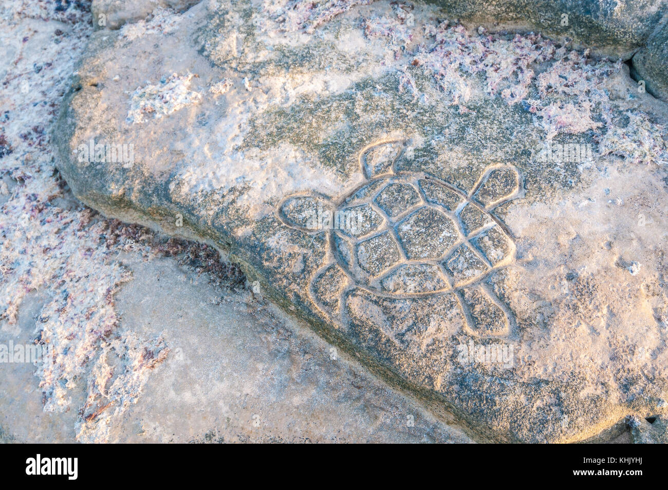 Sea Turtle sculpted auf einem Felsen vom Strand, La Graciosa, Kanarische Inseln, Spanien Stockfoto