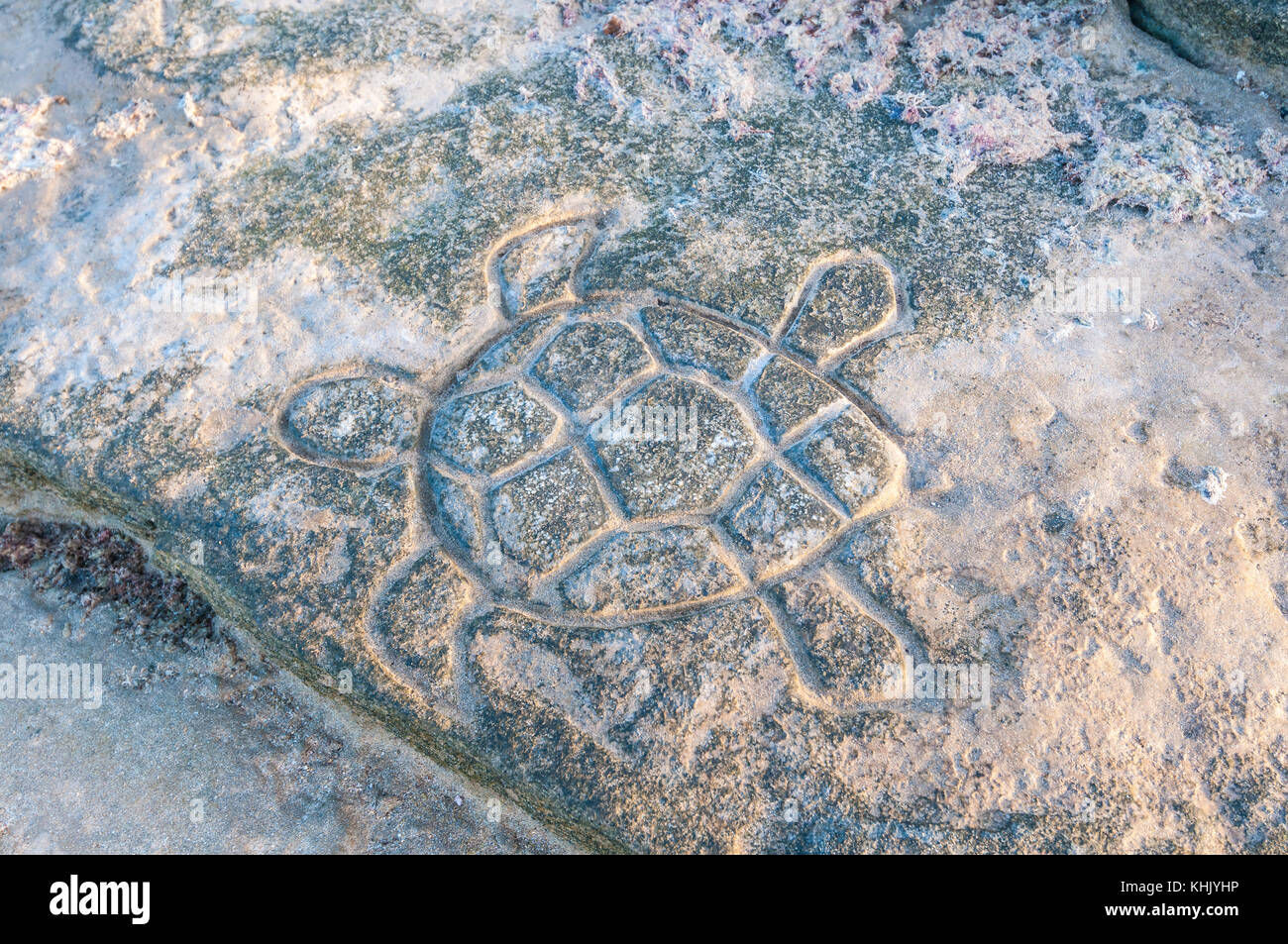 Sea Turtle sculpted auf einem Felsen vom Strand, La Graciosa, Kanarische Inseln, Spanien Stockfoto