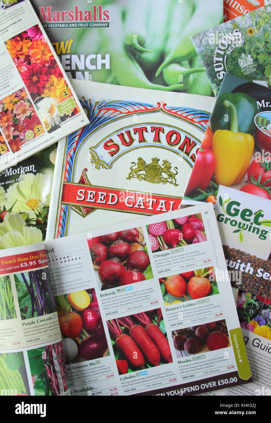 Saatgut Kataloge für Blumen und Gemüse aus verschiedenen britischen Lieferanten Stockfoto