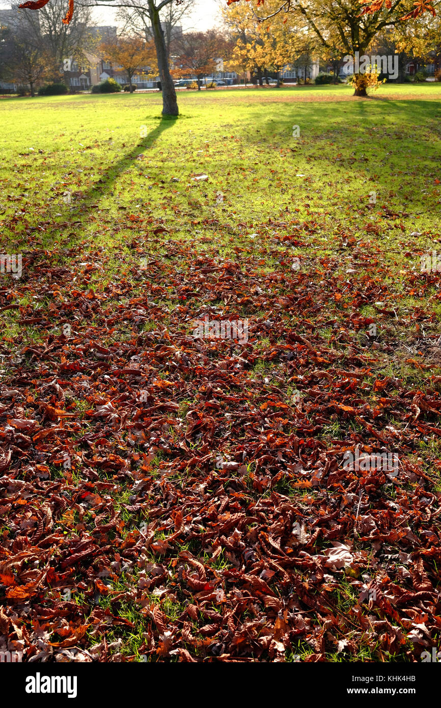 Eine kalte Herbst Szene mit fallender braune Blätter in einem Park in Harrow, London Stockfoto