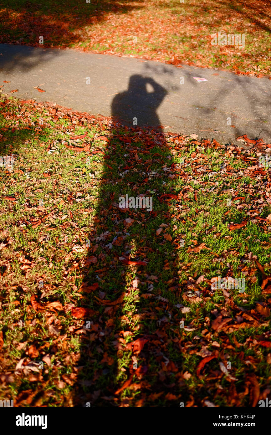 Einen langen Schatten im Herbst Sonne in einem Park in Harrow, London Cast Stockfoto