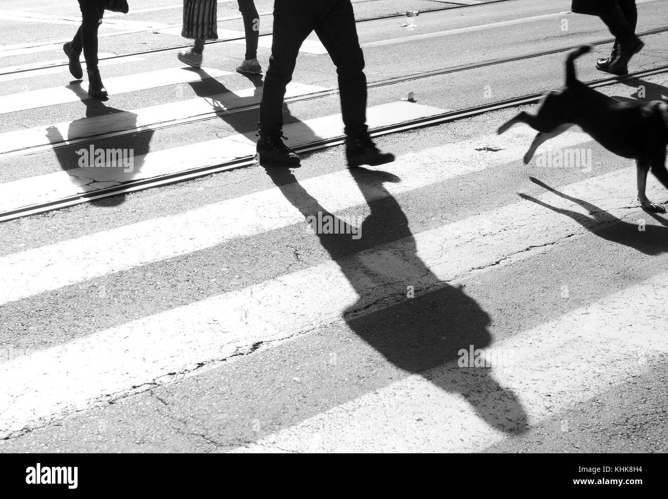 Zebrastreifen mit Schatten und Silhouetten, die laufen und ein Hund in motion blur Überqueren der Straße in Schwarz und Weiß Stockfoto