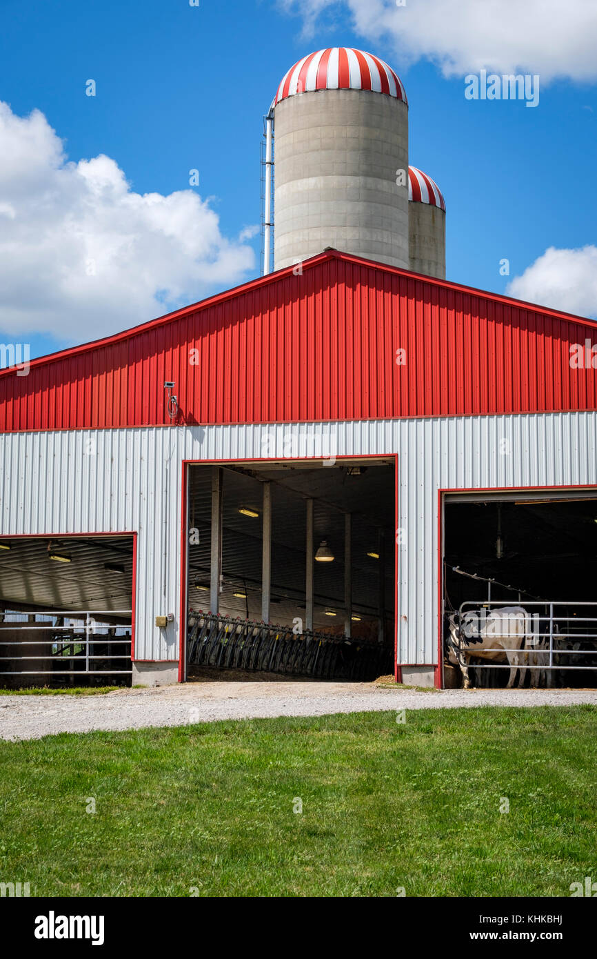Canadian Dairy Farm Barn und Getreidesilos, sonnigen Tag, blauer Himmel, Wiese, St. Marys, Ontario, Kanada. Stockfoto