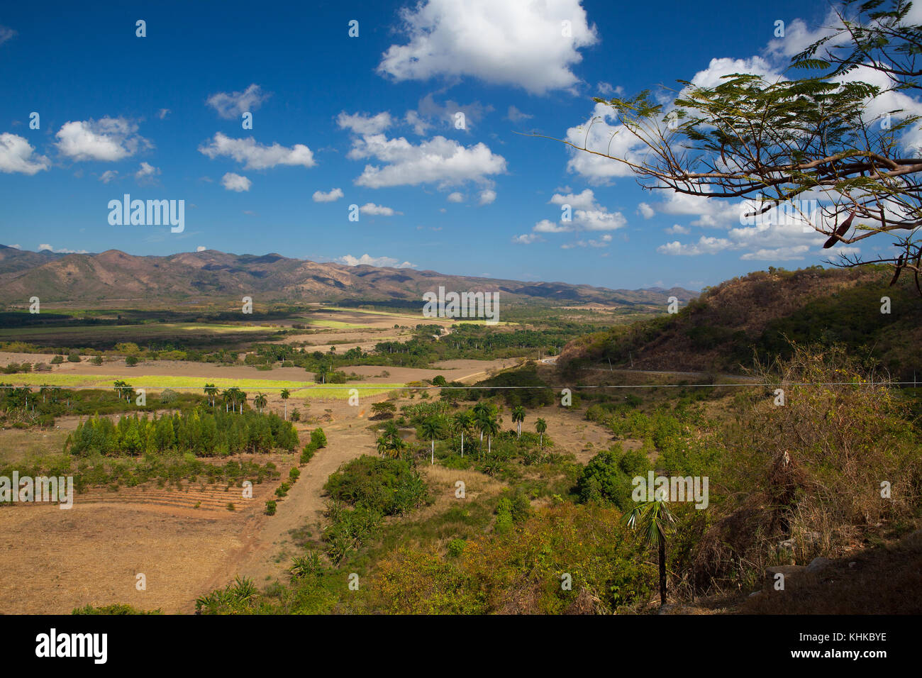 Blick auf das Valle de los ingenios Tal auf der Zuckerrohrplantage, Kuba Stockfoto