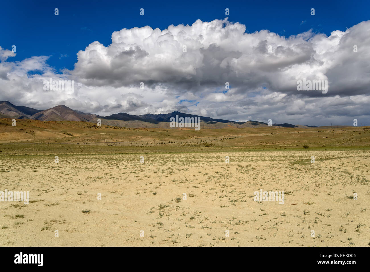 Die malerischen Steppe, Wüste, Landschaft mit Bergen und dem Trockenen mit seltenen Pflanzen auf einem Hintergrund von blauem Himmel und Wolken Stockfoto