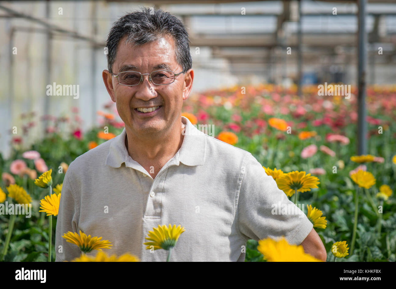 Kitayama Brothers, Inc. (KBI) Facilities Manager Stuart Kitayama spricht über die Gründung von Kitayama Brothers Watsonville, in den frühen 1970er Jahren, durch seinen Vater Ray Kitayama, Tante Kee Kitayama und andere Familienälteste; Und hat sich seitdem auf 40 Hektar grüne Häuser plus Außenfelder, die von der US-Landwirtschaftsministerium (USDA) Natural Resources Conservation Service (NRCS) finanzielle Anreize und technische Hilfe profitiert haben, am Donnerstag, 27. August 2015 gewachsen. Die Landwirtschaft ist seit drei Generationen ein Teil der Kitayama Familie, seit vor dem Zweiten Weltkrieg, als sein Großvater Takeshi Kit Stockfoto