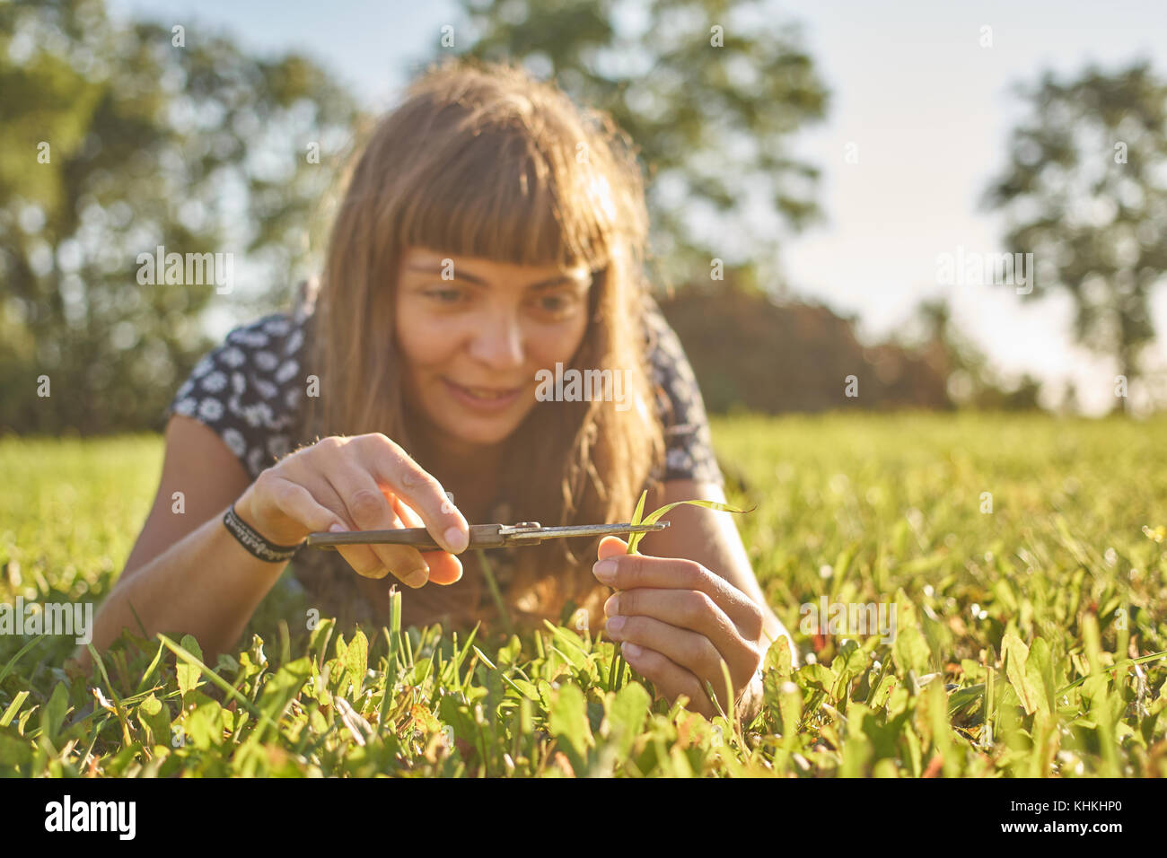 Mädchen Schneiden von Gras in einen Garten mit einer Schere an einem sonnigen Nachmittag. Stockfoto