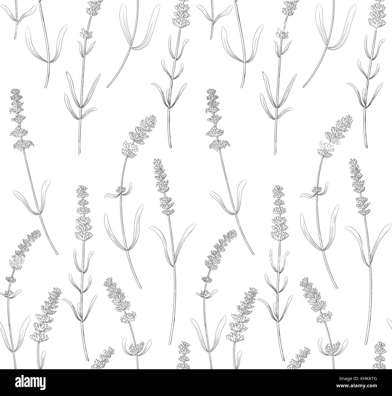 Lavendel Blüten, Blätter vintage nahtlose Vektor Muster Hintergrund design Botanical Hand gezeichnet lineare Grafik wallpaper Stoff textil Papier swatch. Stock Vektor