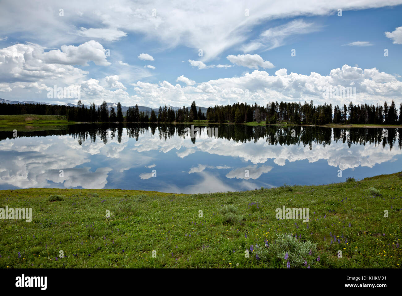 Wy 02614-00 ... Wyoming - Wolken in der indischen Teich im Yellowstone National Park wider. Stockfoto