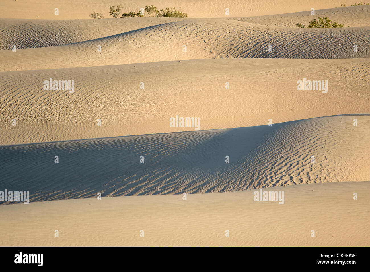 Mesquite flats Sanddünen Death Valley, Kalifornien Stockfoto