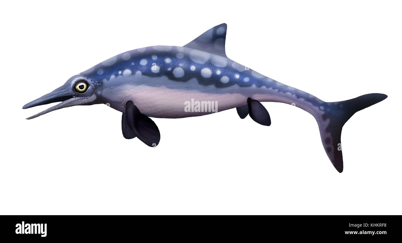 Abbildung: Ophthalmosaurus, einer britischen Marine Reptil aus der späten Kreidezeit (165 bis 150 Millionen Jahren). Es gehörte zu den ichthyosaur Group, die Delphine waren ähnlich wie mit langen, schlanken Körper, langen Rüssel und mächtige Schwänze. Sie hatten auch massive Augen (der Name bedeutet "ophthalmosaurus Auge Reptil'), die es Ihnen erlauben, Jagd squid und Fische in großen Tiefen. Ichthyosaurs waren Vivipar (Geburt gab jungen zu leben). Stockfoto