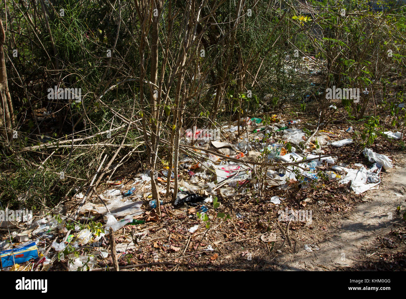 Müll am Meer in Büschen gewaschen, Umweltverschmutzung, Nusa Lembongan, Kleine Sunda Inseln, Indonesien Stockfoto