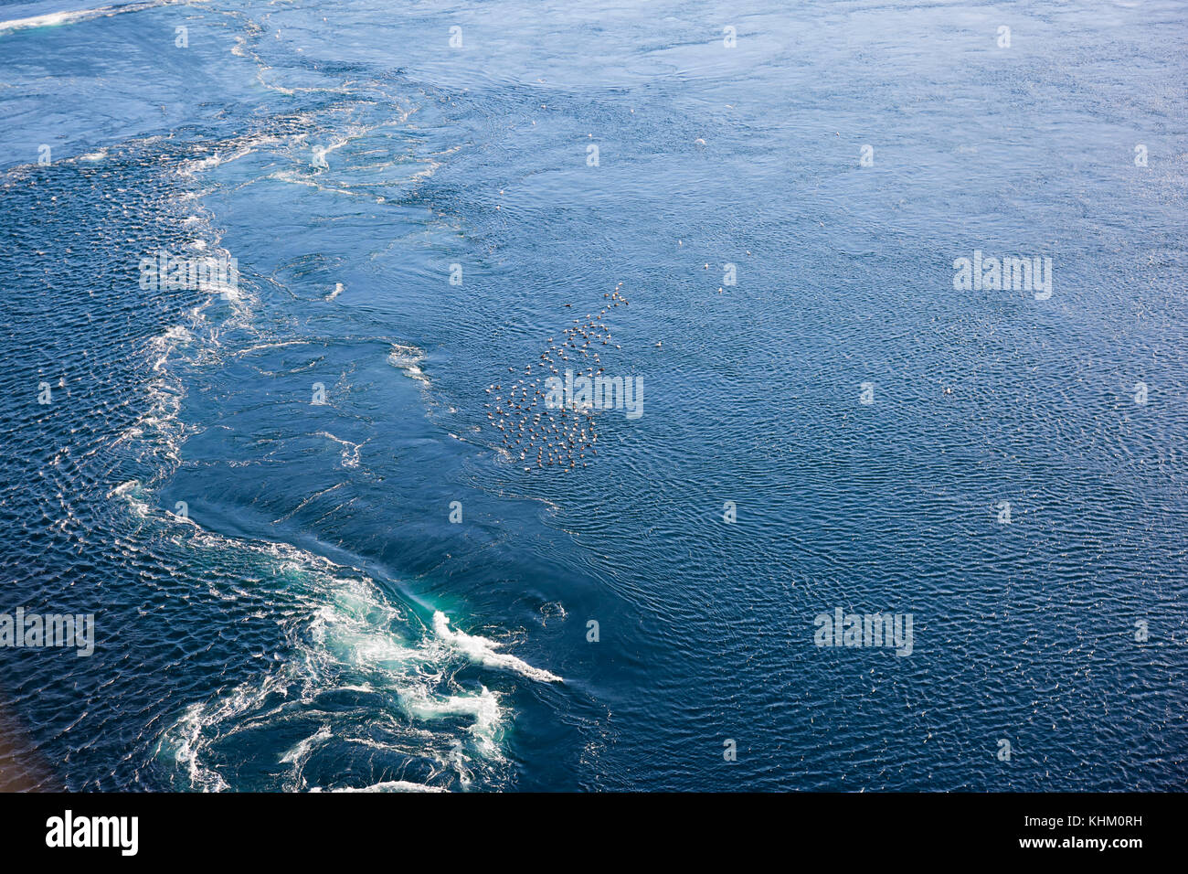 Massive Whirlpools im Wasser, Salz Trauma, stärksten Gezeiten in der Welt, in der Nähe von Bodo, Provinz Nordland, Norwegen Stockfoto