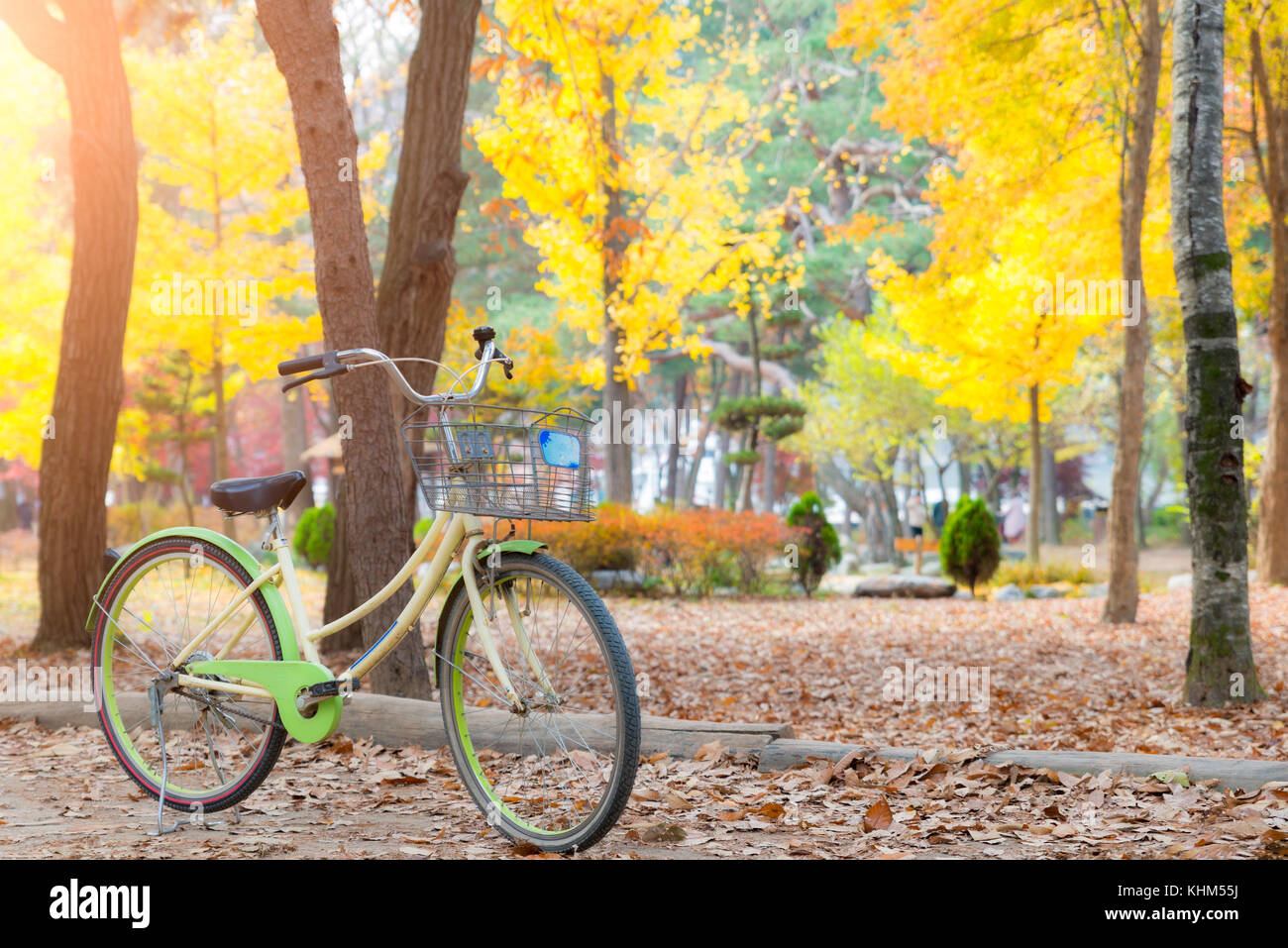 Vintage bicycle parking im Herbst Park. Lebendige Blätter im Herbst. Stockfoto