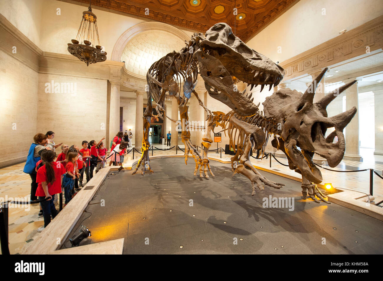Kinder besuchen das Museum of Natural History in Los Angeles, CA Stockfoto