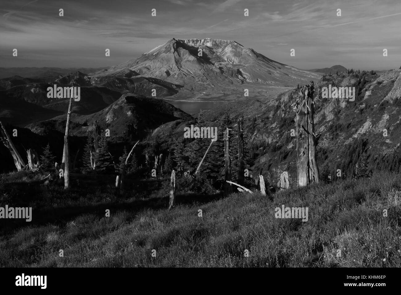 Mt St Helens an. Stockfoto