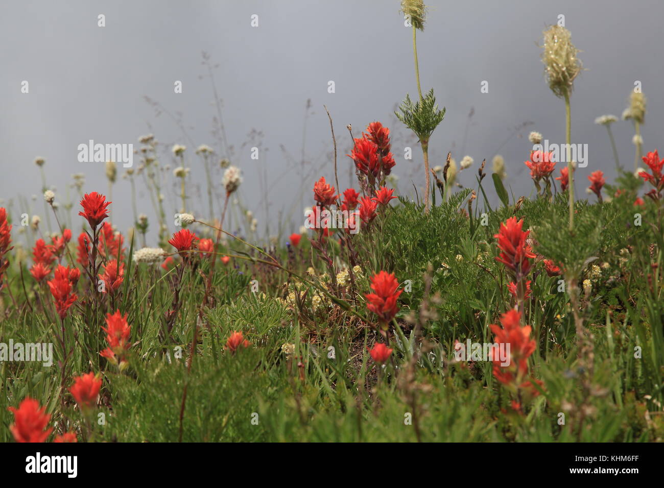 Bewölkt Pass Stockfoto