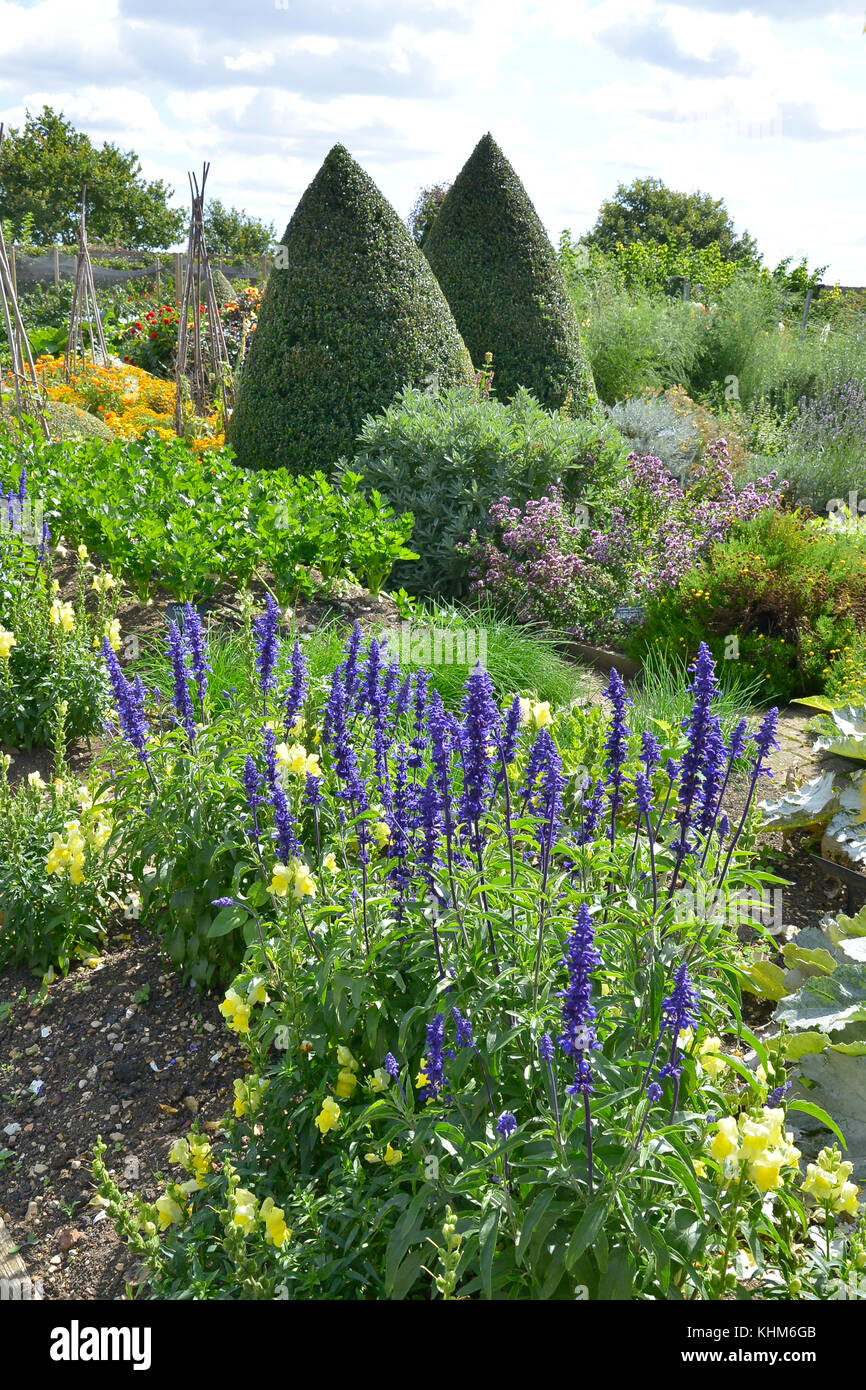 Ein großer Gemüsegarten mit gemischten Anbau von Gemüse und Blumen mit
