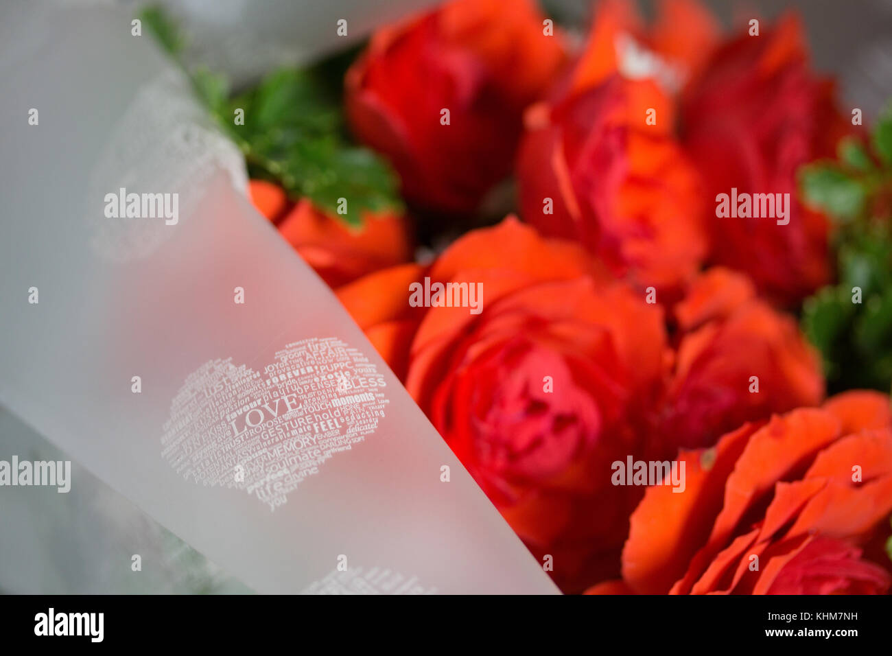 Rote Rosen Was bedeutet Liebe in Beziehungen, vor allem am Valentinstag. Stockfoto