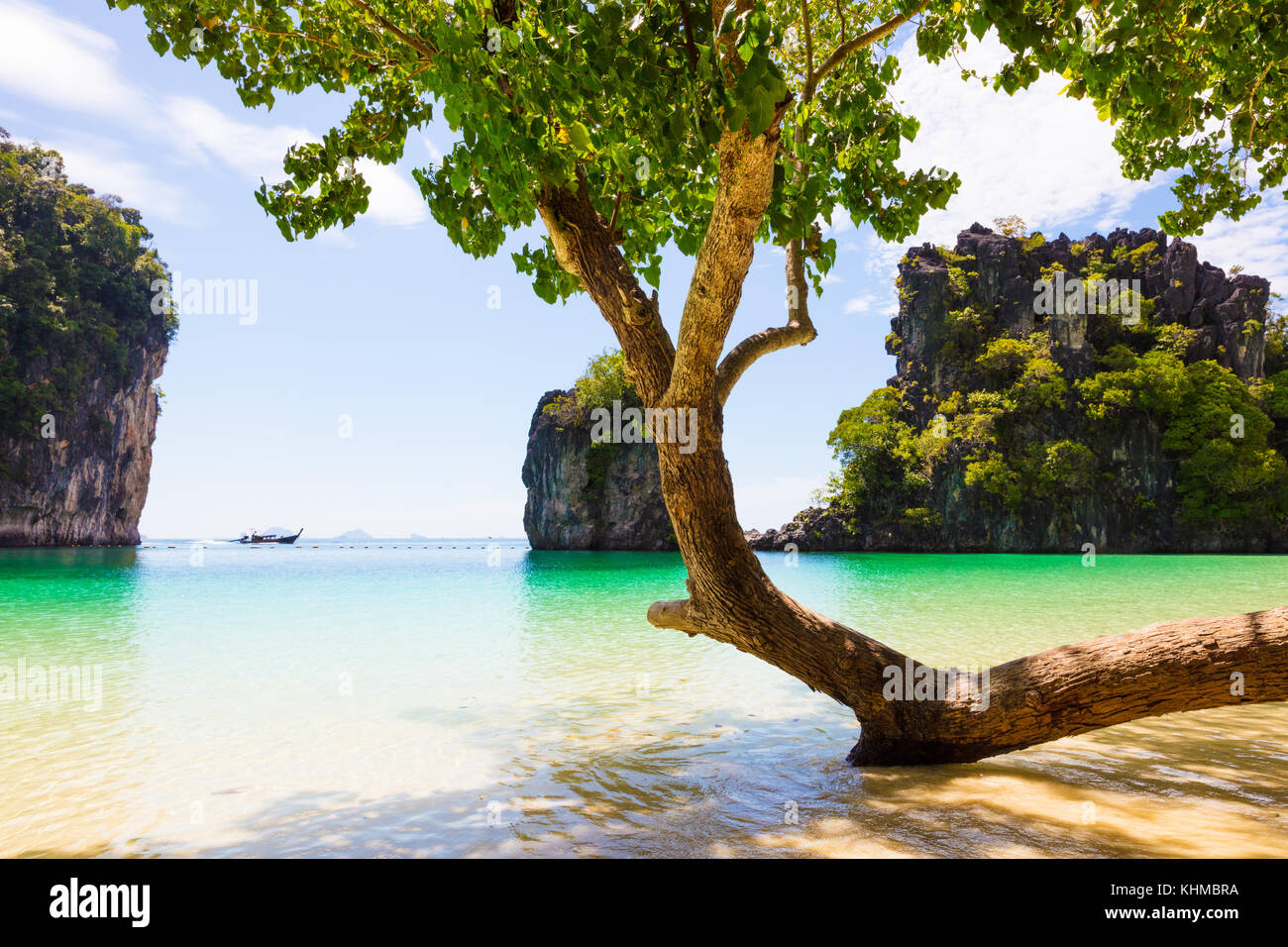 Baum am Ufer gegen Felsen im Meer am Strand in aonang Krabi Thailand Stockfoto