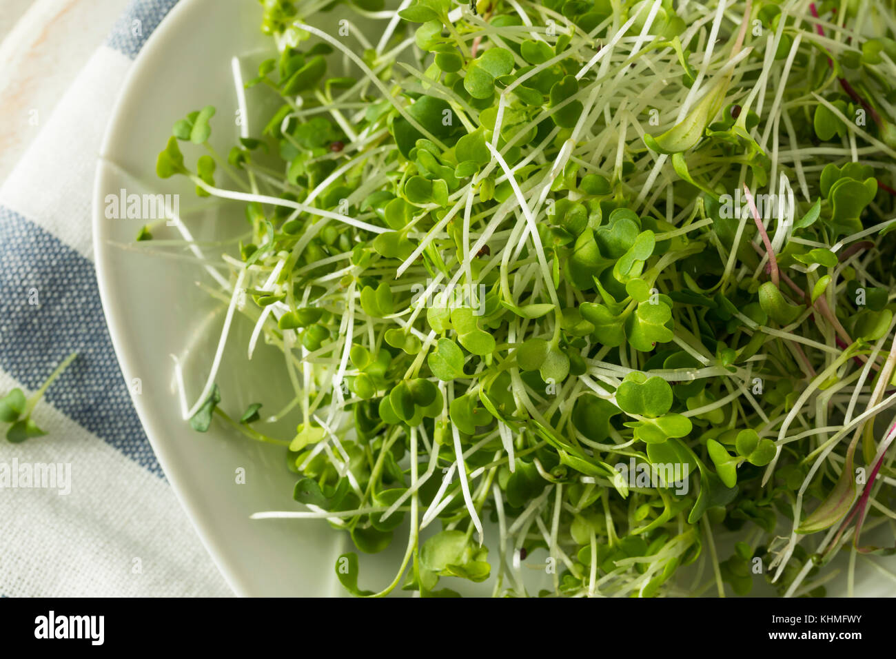 Gesunde Rohstoffe organische microgreens Einsatzbereit Stockfoto