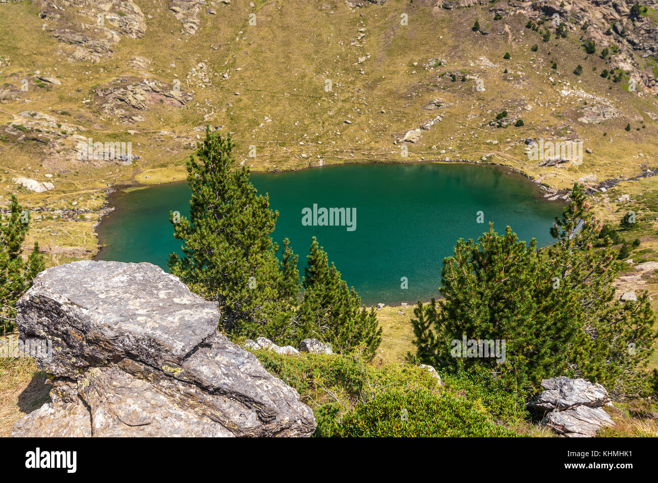 Angesichts der hohen See namens "Estany Primer" in der Nähe von Ordino mit einigen mountain pine im Vordergrund, Tristaina, Andorra Stockfoto