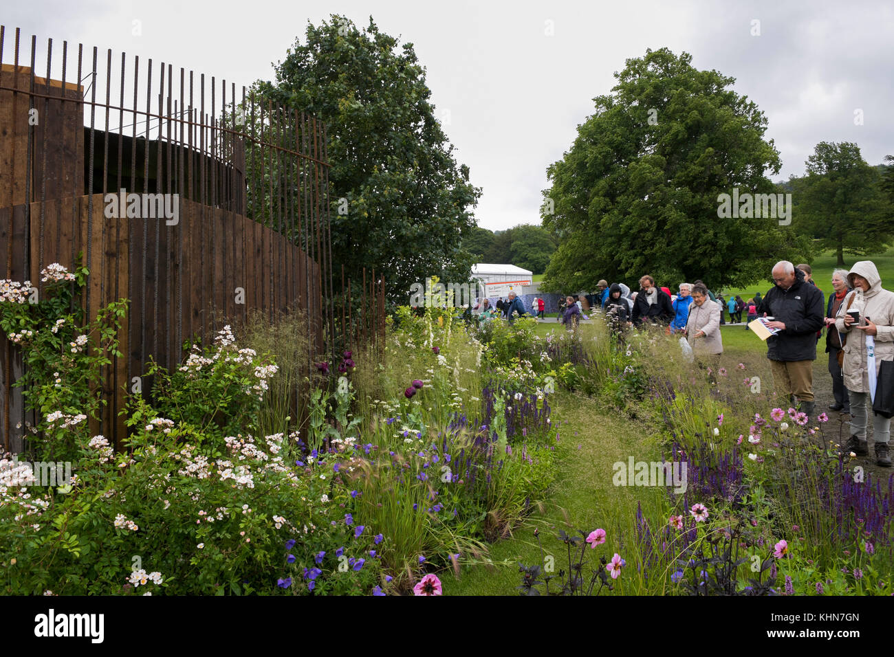 Die Leute schauen runde Naturforscher Pflanzen von schönen Wildblumen - Die brewin Dolphin Garten, RHS Chatsworth House Flower Show, Derbyshire, England, UK. Stockfoto