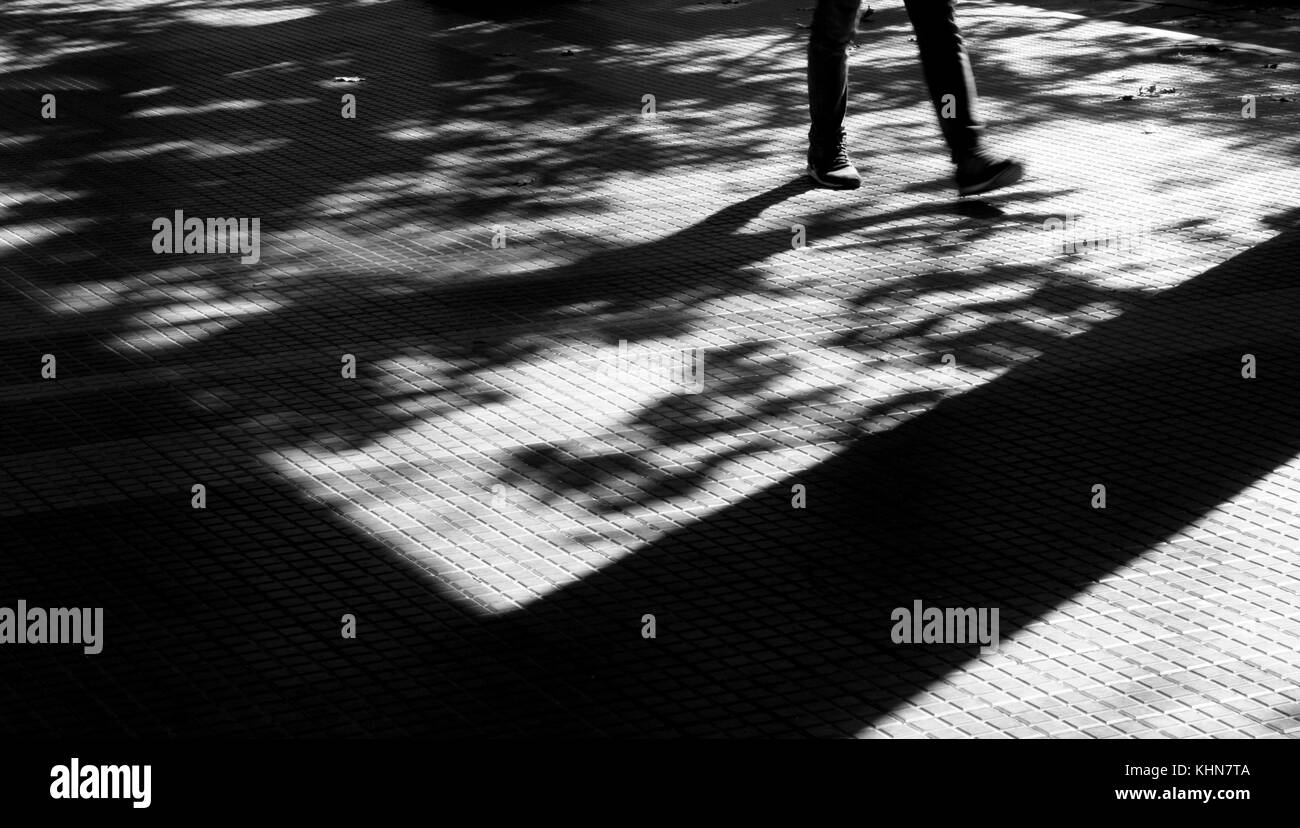 Schatten und Silhouetten von einer Person zu Fuß in motion blur und Bäume im Herbst auf Stadt Straße Bürgersteig in Schwarz und Weiß Stockfoto