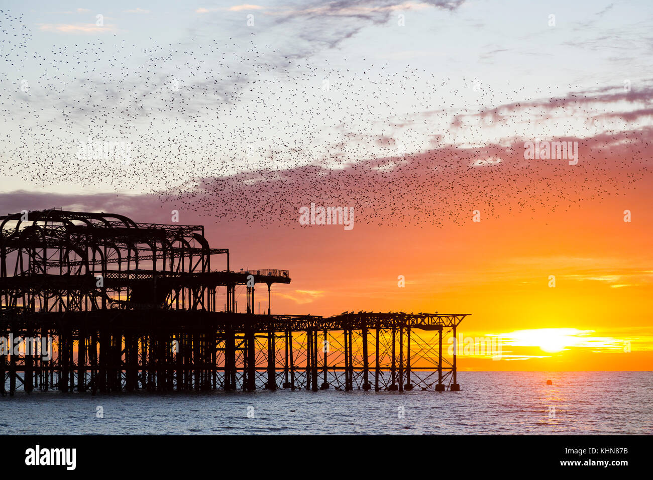 Brighton, UK. Starling murmurations bei Sonnenuntergang über verlassene West Pier von Brighton. Stockfoto