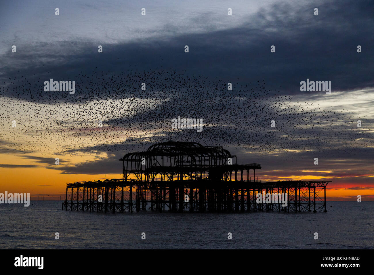 Brighton, UK. Starling murmurations bei Sonnenuntergang über der verlassenen Brighton West Pier. Stockfoto