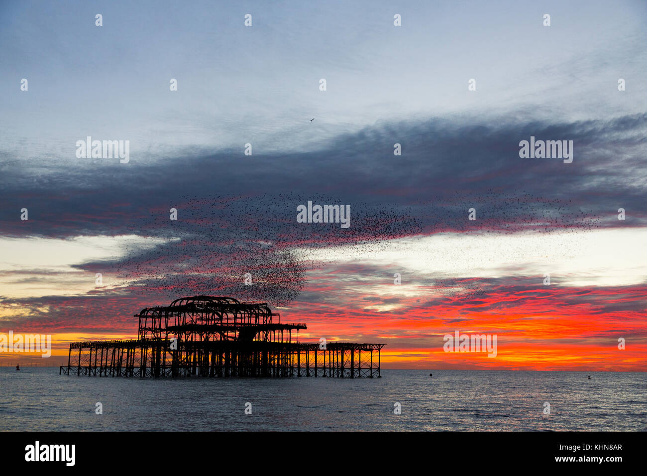 Brighton, UK. Starling murmurations bei Sonnenuntergang über der verlassenen Brighton West Pier. Stockfoto