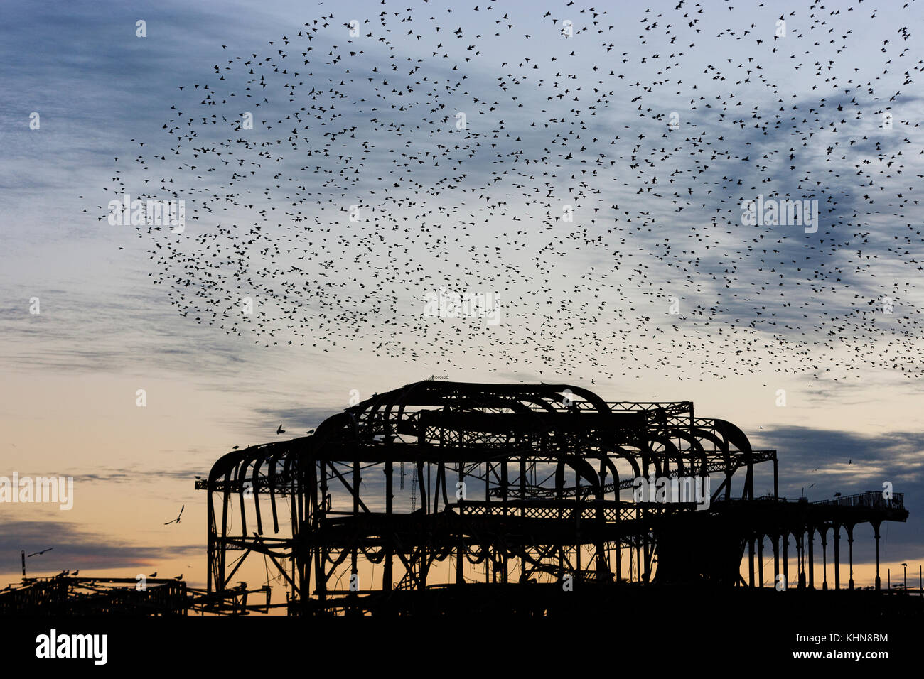 Brighton, UK. Starling murmurations bei Sonnenuntergang über verlassene West Pier von Brighton. Stockfoto