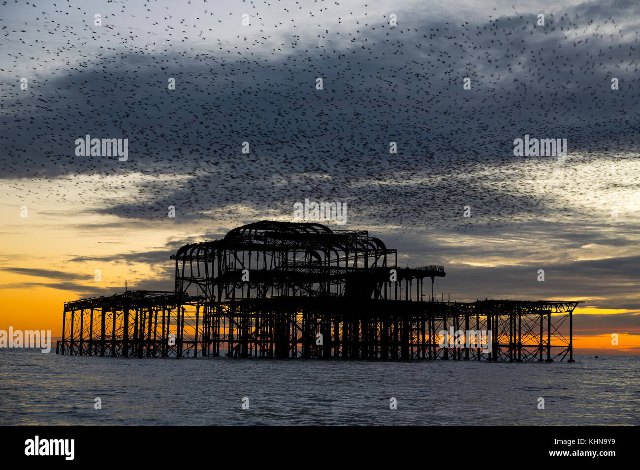 Brighton, UK. Starling murmurations bei Sonnenuntergang über der verlassenen Brighton West Pier. Stockfoto